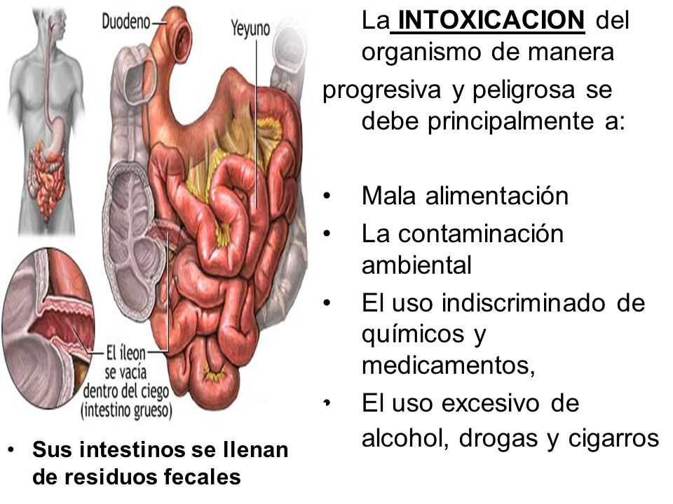 Los grados del alcoholismo los síntomas